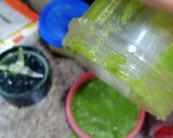 पुदीना चटनी (Pudina chutney recipe in Hindi) रेसिपी चरण 6 फोटो