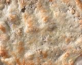 Foto del paso 14 de la receta Canelones de salmón