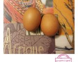 Une image de l'étape 5 de #Avril Egg boat ou Œuf cocotte cuit dans un pain.