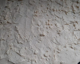 Foto del paso 4 de la receta: Margaritas de membrillo