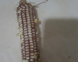 Foto del paso 1 de la receta: Chaca