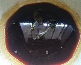 Foto langkah ke 4 dari resep Sirup Gula Merah kental.