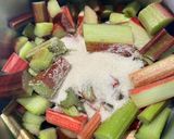 A picture of step 1 of Rhubarb, apple and berries oat crumble @kana’s birthday 🥳.