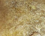 صورة لخطوة 9 من وصفة مقلوبة باذنجان وبطاطا 😋