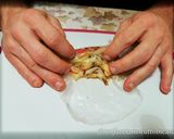 Foto del passaggio 6 della ricetta Fagottini di Pollo al Forno