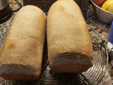Pan de molde o pan de campo...tu preferido!
