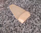 Foto del paso 4 de la receta: Chuchos