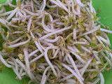 Tumis udang tahu taoge cangjang