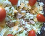 Foto del paso 4 de la receta: Vianda de oficina 7- Ensalada con pollo, repollo, tomate y queso