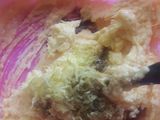Alfajores de maizena