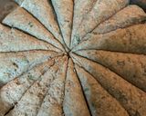 Foto del paso 3 de la receta: Pan integral de ciboullet