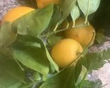 Une image de l'étape 3 de 🍉Pastèque 🍉melon🍋‍🟩farandole de fruits 🫐🍓🍇.