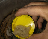 தம் நெய் புலாவ்🍚 ரெசிபி ஸ்டேப் 3 புகைப்படம்