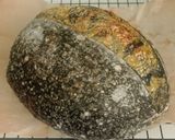 Foto langkah ke 28 dari resep Pandan Charcoal Sourdough Bread (88% - Oven Tangkring).