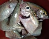 Foto langkah ke 1 dari resep Ikan mata gede masak bumbu.