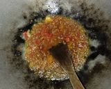 Foto langkah ke 3 dari resep Sambal goreng kentang buncis.
