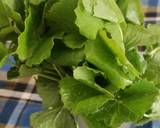 Kola Kanda. (Centella asiatica porridge)