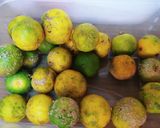 Foto del paso 3 de la receta: Merluza en salsa marinera y reducción Pedro Ximénez balsámico