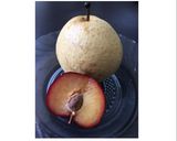 Foto langkah ke 1 dari resep Mpasi 7m+ puree PLUM-PEAR.