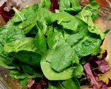 Foto del paso 11 de la receta Ensalada de brotes tiernos y Espinacas con vinagreta de Mango