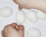A picture of step 1 of Egg Roast.