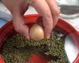 Foto langkah ke 1 dari resep Sari Kacang Hijau.