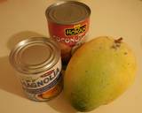 Mango Ice-cream - only 3 ingredients recipe step 1 photo
