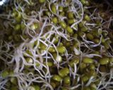 ફણગાવેલા મગ(Sprouts Moong Recipe in Gujarati) રેસીપી સ્ટેપ1ફોટો