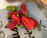 Une image de l'étape 3 de Salade de betteraves rouges aux tomates, poivrons et olives.