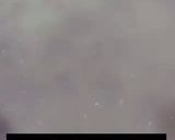 صورة لخطوة 5 من وصفة مفالت (الثريد)