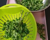 Alap saláta Kedvenc dresszinggel recept fázis 1 fotója
