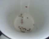 Foto del paso 8 de la receta: Bizcochuelo de chocolate vegano