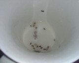 Foto del paso 8 de la receta: Bizcochuelo de chocolate vegano
