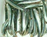 Foto del paso 1 de la receta Boquerones en abanico