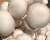 Gomba, lilaburgonya sárgarépa pürével recept fázis 1 fotója
