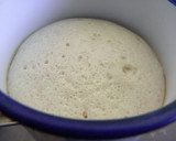 Foto del paso 1 de la receta: Pan dulce navideño vegano