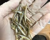 Hình bước làm 3 của món Súp giá đậu nành loại cay- công thức maangchi
