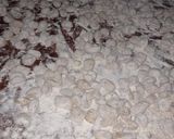 Foto del paso 11 de la receta: 29 de ÑOQUIS!!