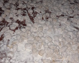 Foto del paso 11 de la receta: 29 de ÑOQUIS!!