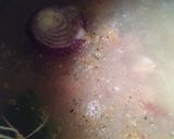 Foto del paso 9 de la receta: Guiso de lentejas