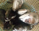 A picture of step 1 of Fish head pappe soup.