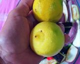 Foto del paso 5 de la receta: Ensalada de chiles asados con vegetales orgánicos y especias