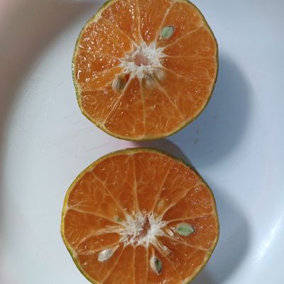 Langkah 1