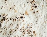 મસાલા પાપડ (Masala papad Recipe in Gujarati) રેસીપી સ્ટેપ2ફોટો