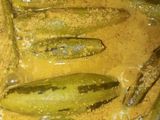 পটল তিল পোস্ত(potol teel posto recipe in Bengali)