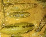 পটল তিল পোস্ত(potol teel posto recipe in Bengali) রেসিপি ধাপ - 6 ছবি
