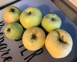 Une image de l'étape 2 de Compote de raisins, pommes et prunes.