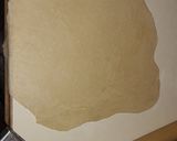 Foto del paso 3 de la receta: Masa para tarta (pascualina)