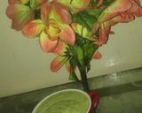 A picture of step 3 of Spinach Mango Smoothe.