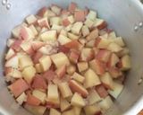 Foto del paso 3 de la receta: Puré de papas rústicas